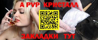 spice Кингисепп