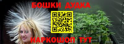 spice Кингисепп