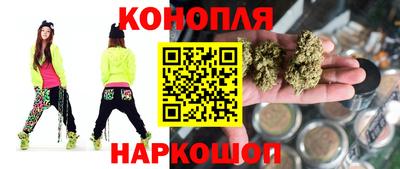 spice Кингисепп