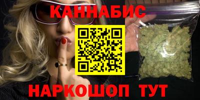 spice Кингисепп