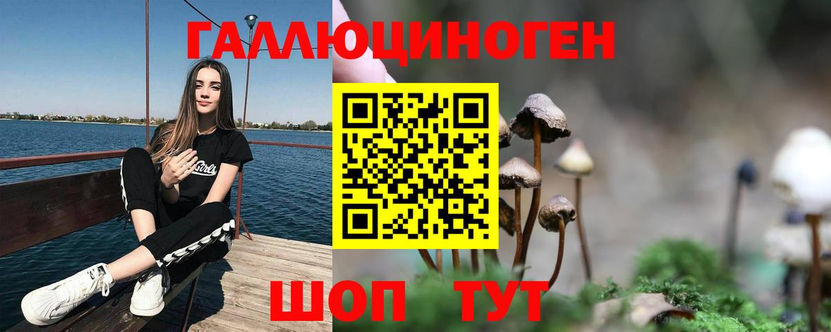 Галлюциногенные грибы Psilocybine cubensis Красный Сулин